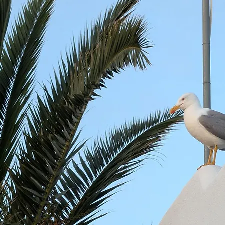 Gaivota Nest - Garden View * Ferragudo (Faro)